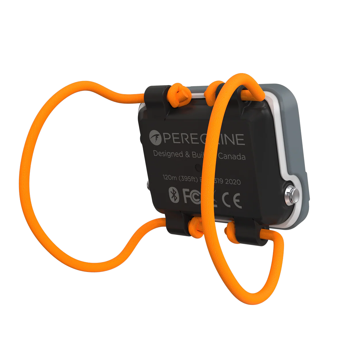 Peregrine - Image 12